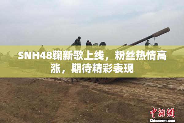 SNH48鞠新歌上线，粉丝热情高涨，期待精彩表现