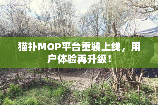 猫扑MOP平台重装上线，用户体验再升级！