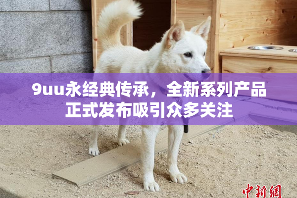 9uu永经典传承，全新系列产品正式发布吸引众多关注