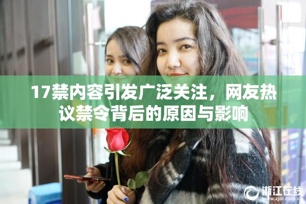 17禁内容引发广泛关注，网友热议禁令背后的原因与影响