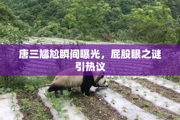 唐三尴尬瞬间曝光，屁股眼之谜引热议