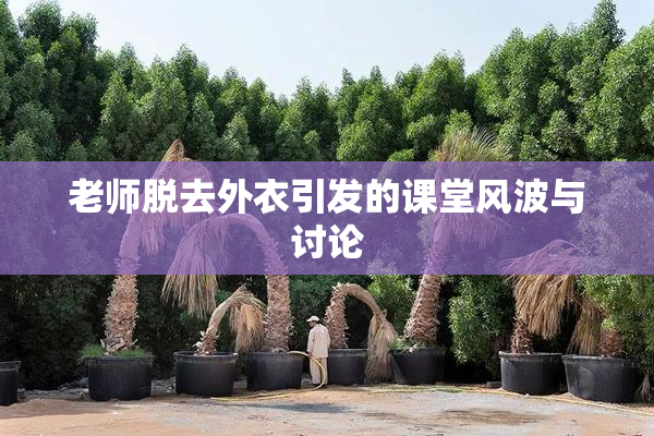 老师脱去外衣引发的课堂风波与讨论