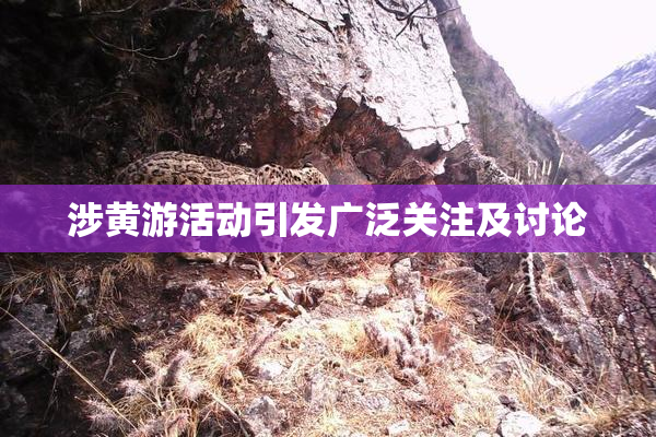 涉黄游活动引发广泛关注及讨论