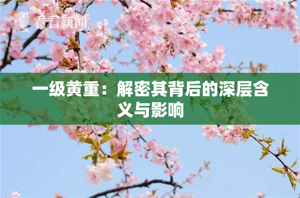 一级黄重：解密其背后的深层含义与影响
