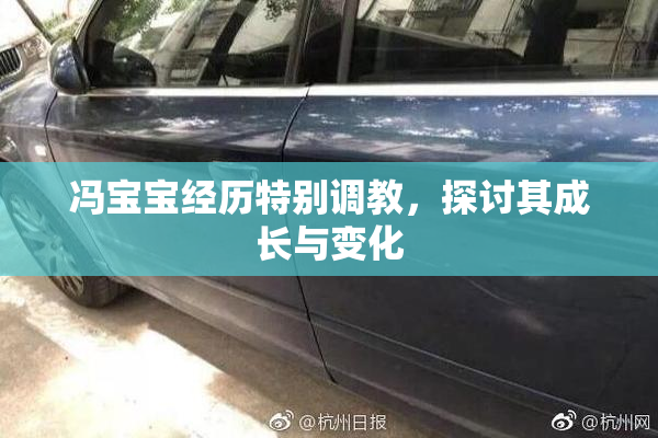 冯宝宝经历特别调教，探讨其成长与变化