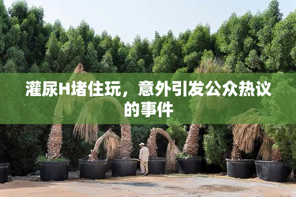 灌尿H堵住玩，意外引发公众热议的事件