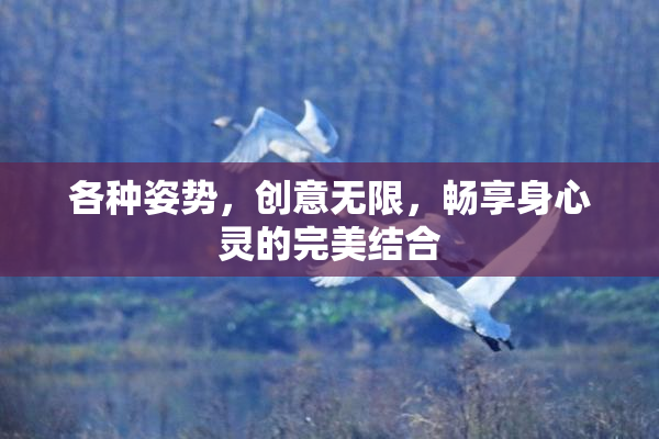 各种姿势，创意无限，畅享身心灵的完美结合