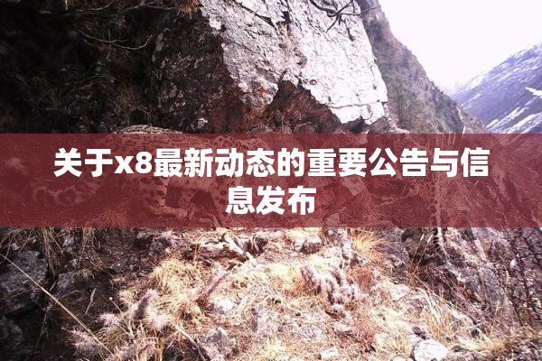 关于x8最新动态的重要公告与信息发布