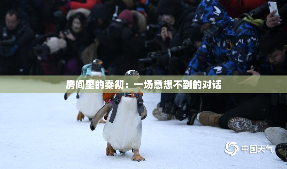 房间里的秦彻：一场意想不到的对话