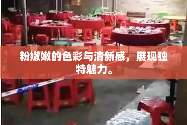 粉嫩嫩的色彩与清新感，展现独特魅力。