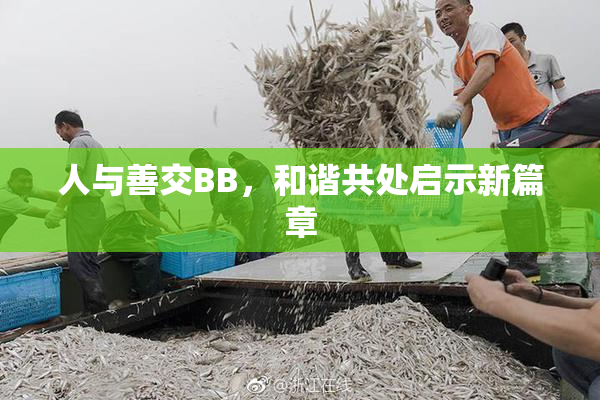 人与善交BB，和谐共处启示新篇章