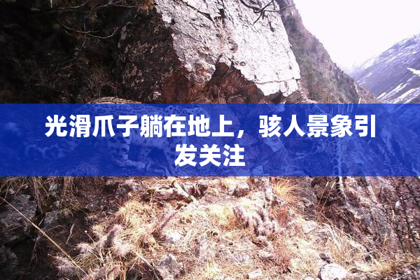 光滑爪子躺在地上，骇人景象引发关注