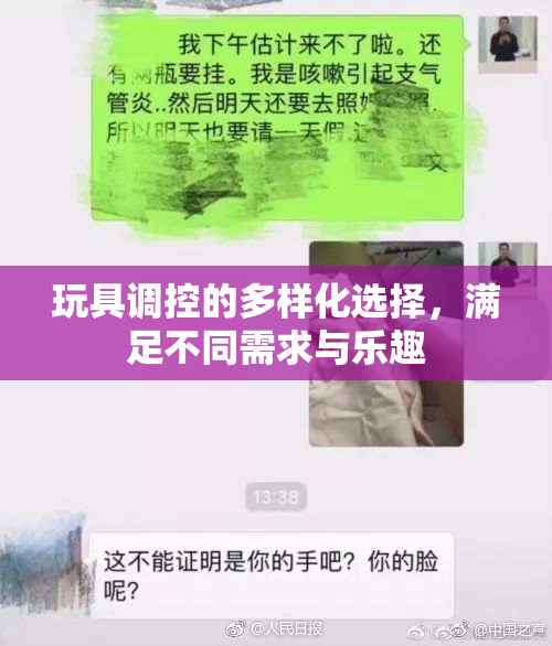 玩具调控的多样化选择，满足不同需求与乐趣
