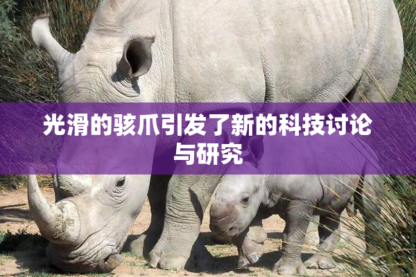 光滑的骇爪引发了新的科技讨论与研究