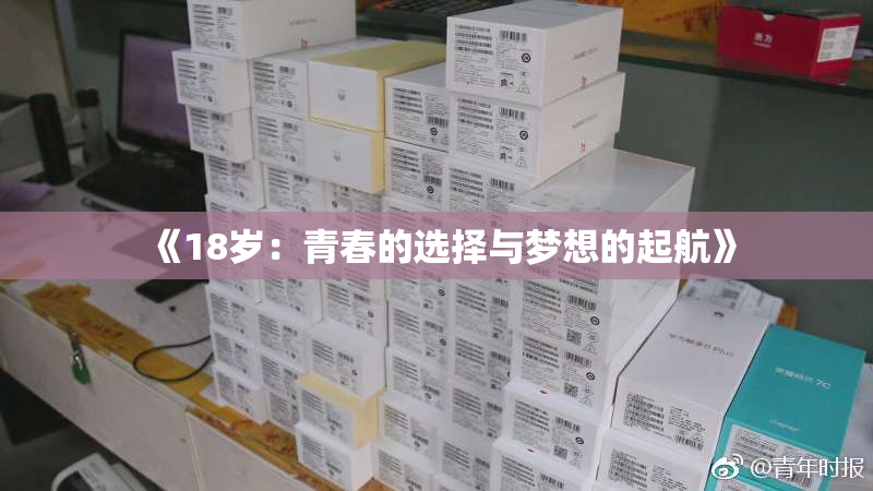 《18岁：青春的选择与梦想的起航》