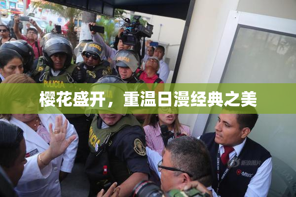 樱花盛开，重温日漫经典之美
