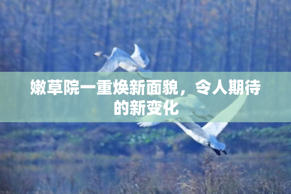 嫩草院一重焕新面貌，令人期待的新变化
