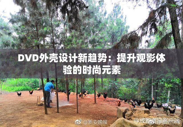 DVD外壳设计新趋势：提升观影体验的时尚元素