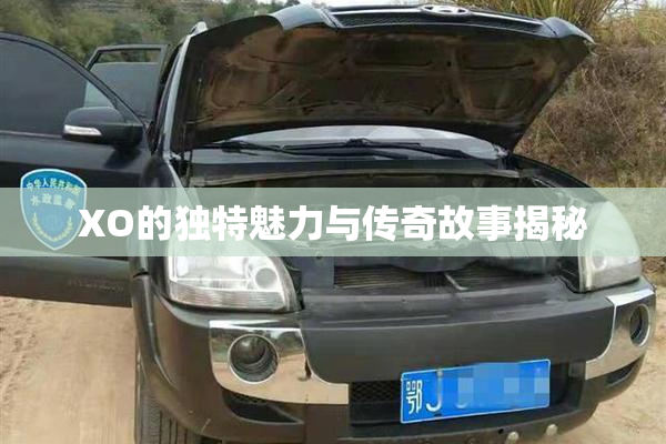 XO的独特魅力与传奇故事揭秘