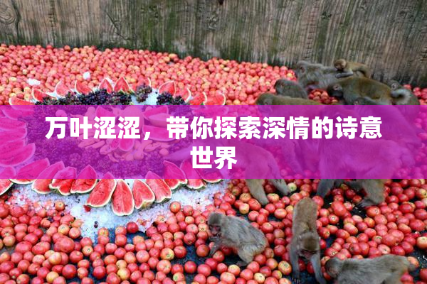 万叶涩涩，带你探索深情的诗意世界