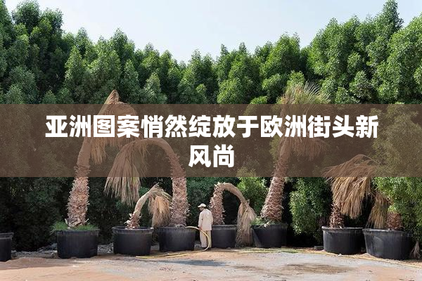 亚洲图案悄然绽放于欧洲街头新风尚