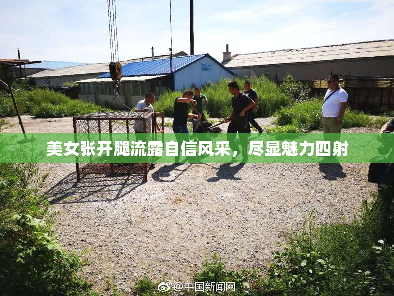 美女张开腿流露自信风采，尽显魅力四射
