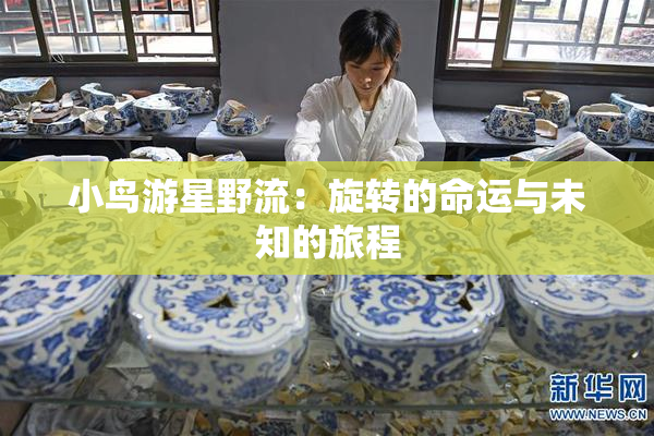 小鸟游星野流：旋转的命运与未知的旅程