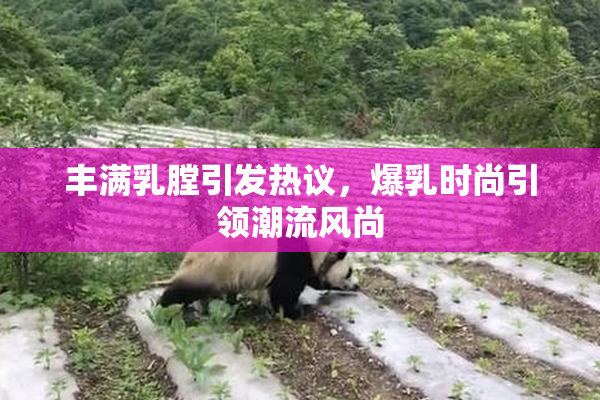 丰满乳膛引发热议，爆乳时尚引领潮流风尚