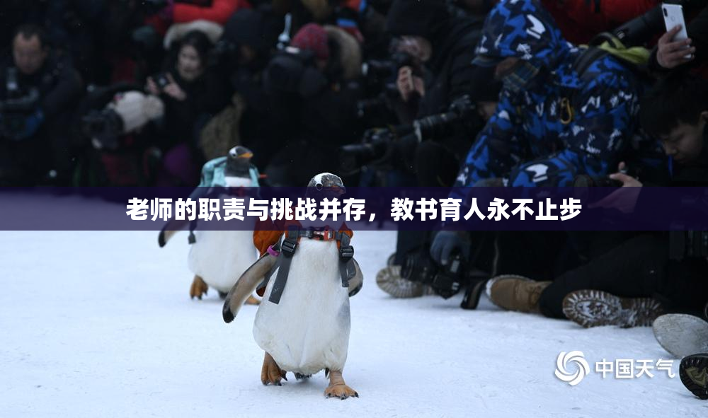 老师的职责与挑战并存，教书育人永不止步