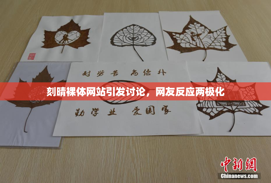 刻晴裸体网站引发讨论，网友反应两极化