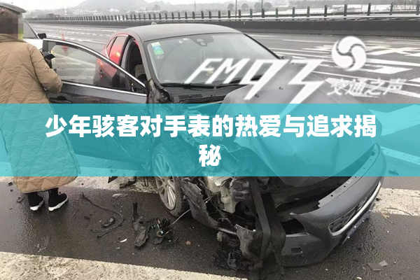少年骇客对手表的热爱与追求揭秘