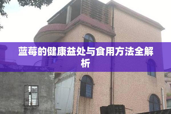 蓝莓的健康益处与食用方法全解析
