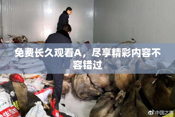 免费长久观看A，尽享精彩内容不容错过