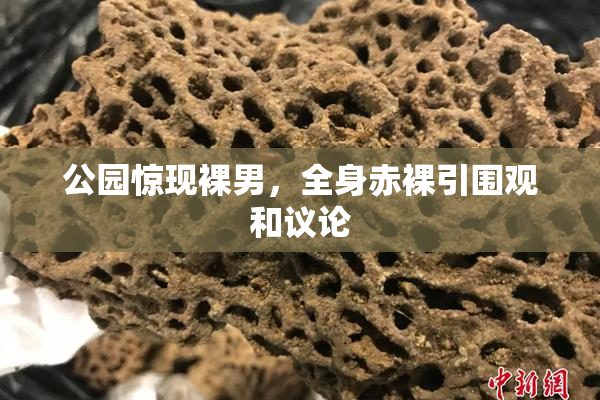 公园惊现裸男，全身赤裸引围观和议论