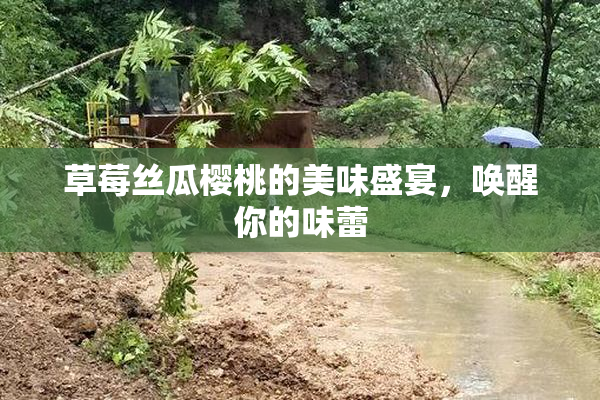 草莓丝瓜樱桃的美味盛宴，唤醒你的味蕾