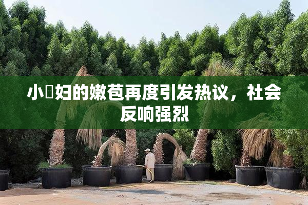 小婬妇的嫩苞再度引发热议，社会反响强烈