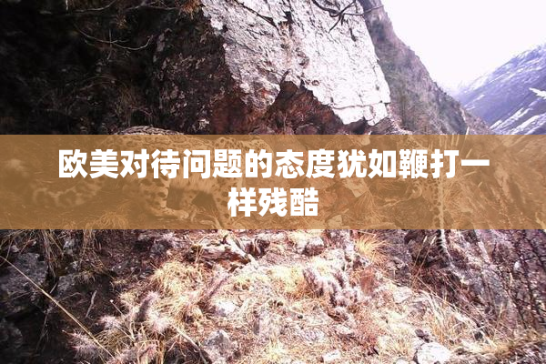 欧美对待问题的态度犹如鞭打一样残酷