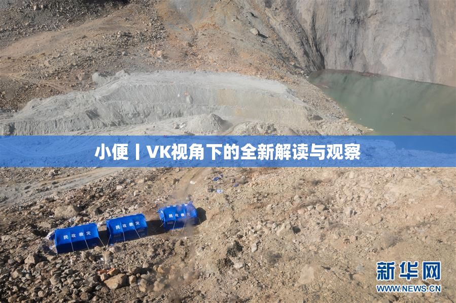 小便丨VK视角下的全新解读与观察