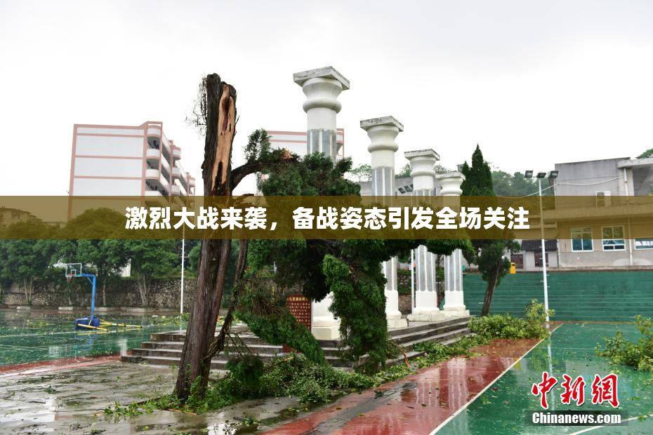 激烈大战来袭，备战姿态引发全场关注