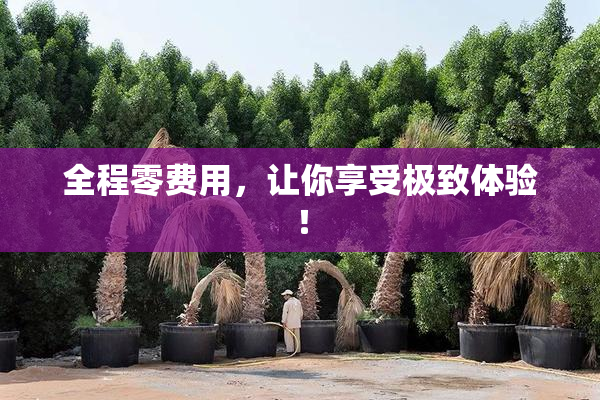 全程零费用，让你享受极致体验！