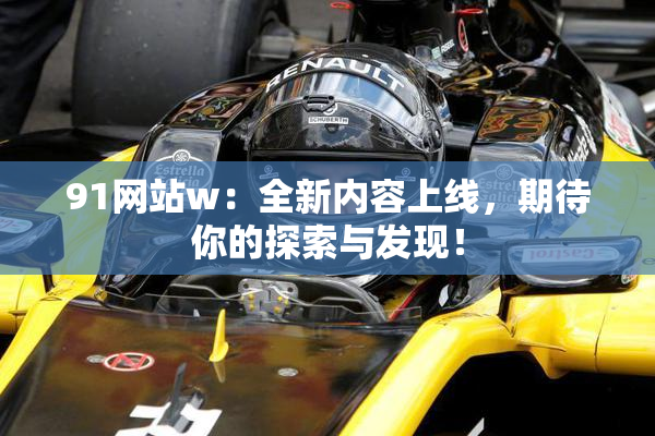 91网站w：全新内容上线，期待你的探索与发现！