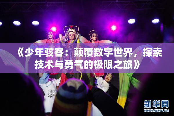 《少年骇客：颠覆数字世界，探索技术与勇气的极限之旅》