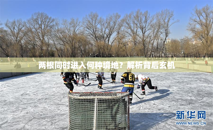 两根同时进入何种境地？解析背后玄机