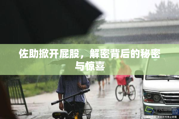 佐助掀开屁股，解密背后的秘密与惊喜