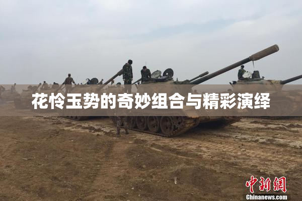 花怜玉势的奇妙组合与精彩演绎