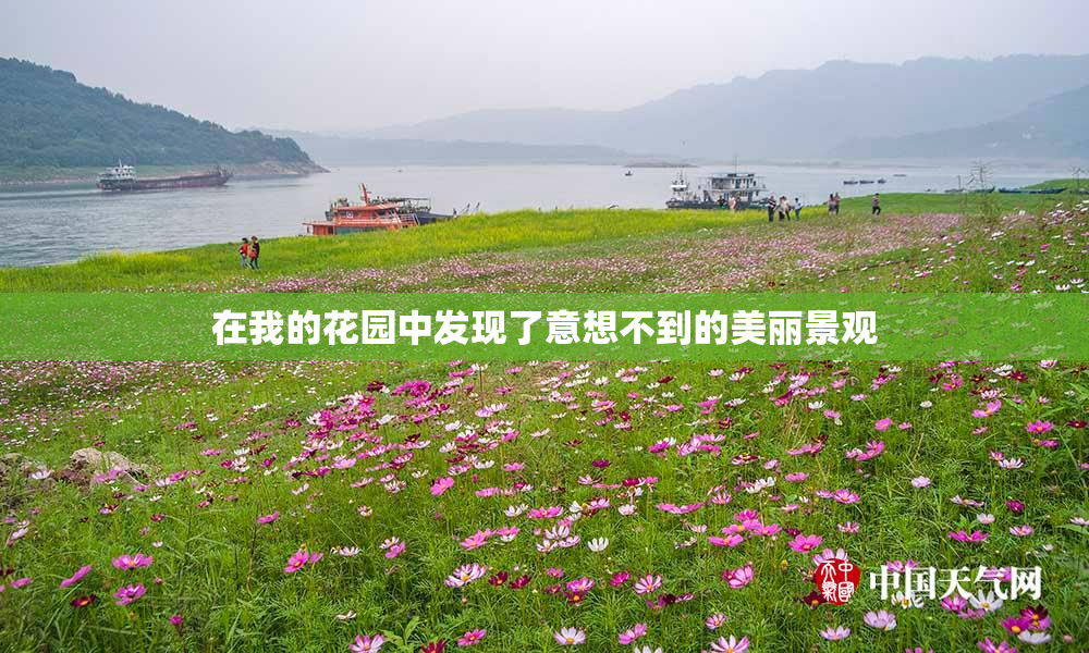 在我的花园中发现了意想不到的美丽景观