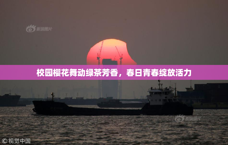 校园樱花舞动绿茶芳香，春日青春绽放活力