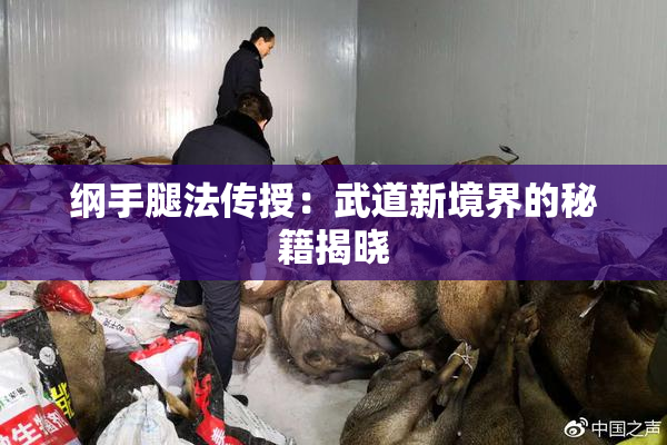 纲手腿法传授：武道新境界的秘籍揭晓