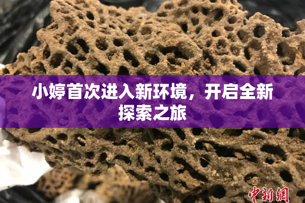 小婷首次进入新环境，开启全新探索之旅