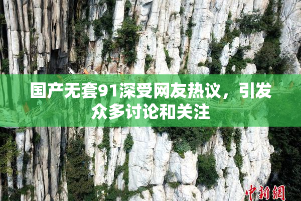 国产无套91深受网友热议，引发众多讨论和关注